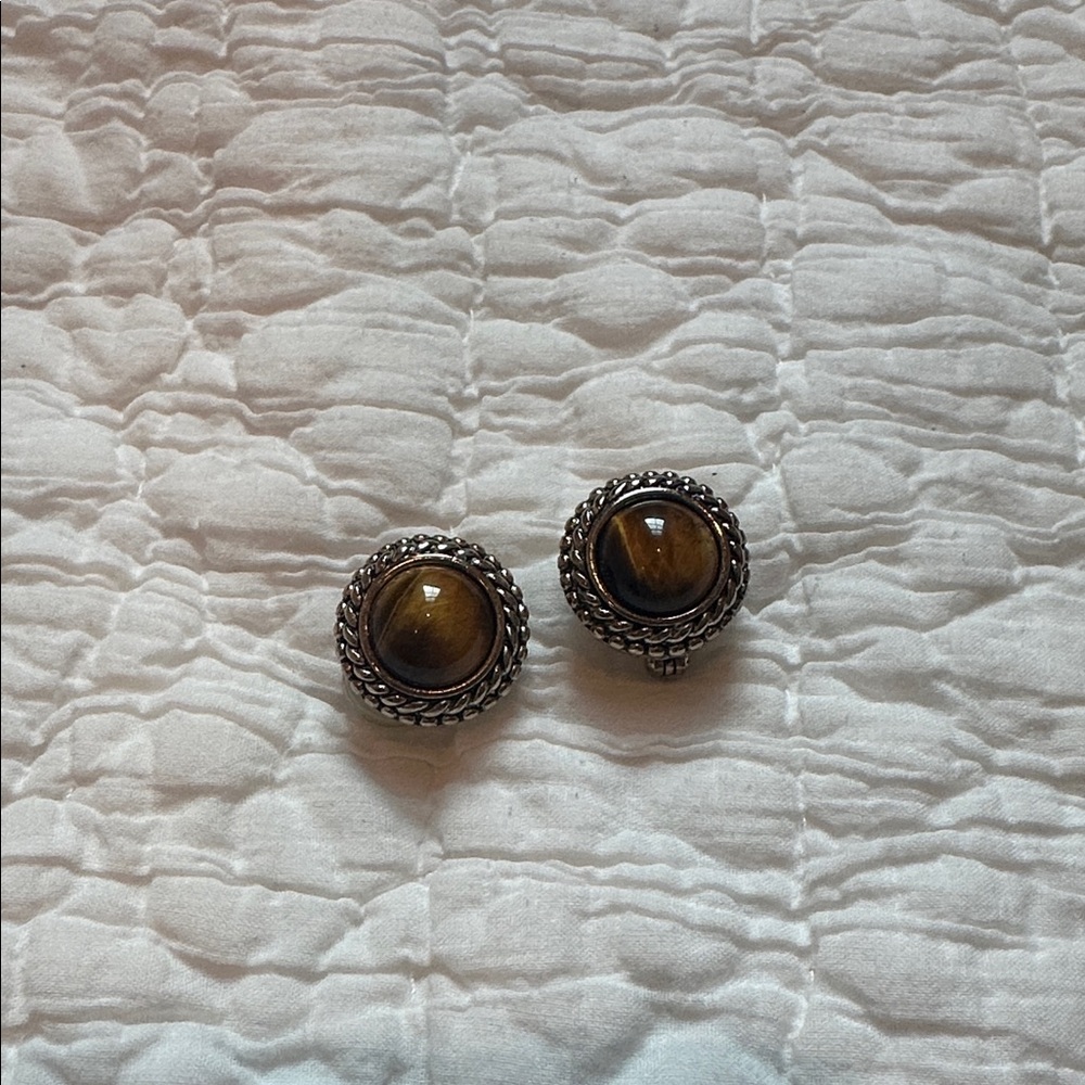 Premier Jewelry Clip-On Earrings with tiger eye